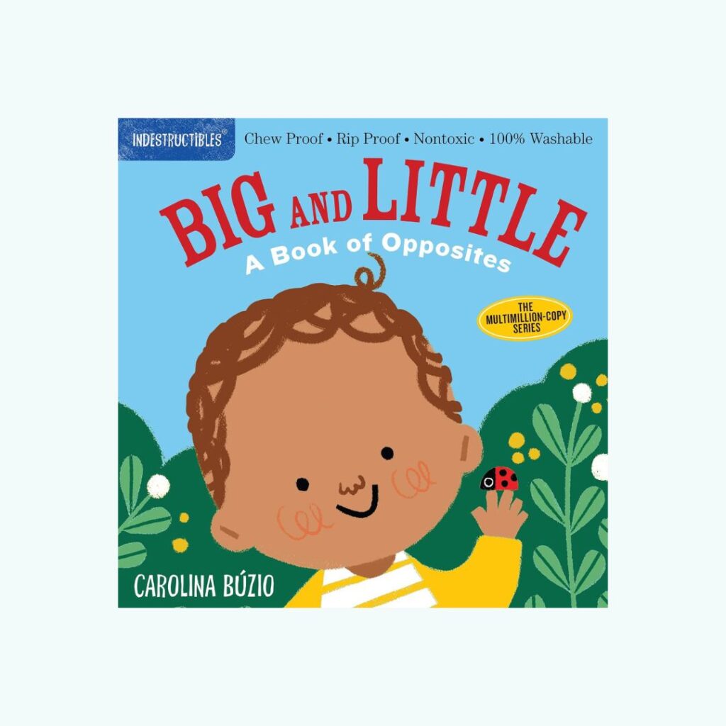 Big and Little: A Book of Opposites