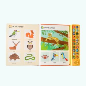 My Big Book of Sounds - obrazek 6