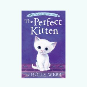 The perfect kitten