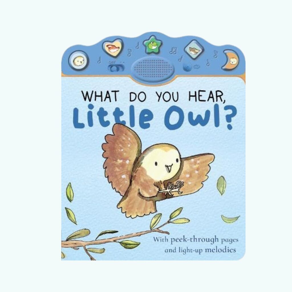 What Do You Hear, Little Owl?